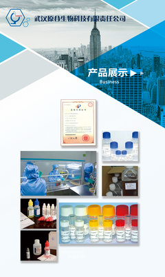 武漢原谷|平面|海報(bào)|LIJIE441100 