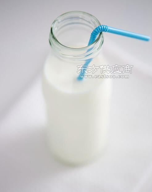 武漢綠洲海食品 匠心打造優(yōu)質(zhì)豆奶，傳遞健康與美味